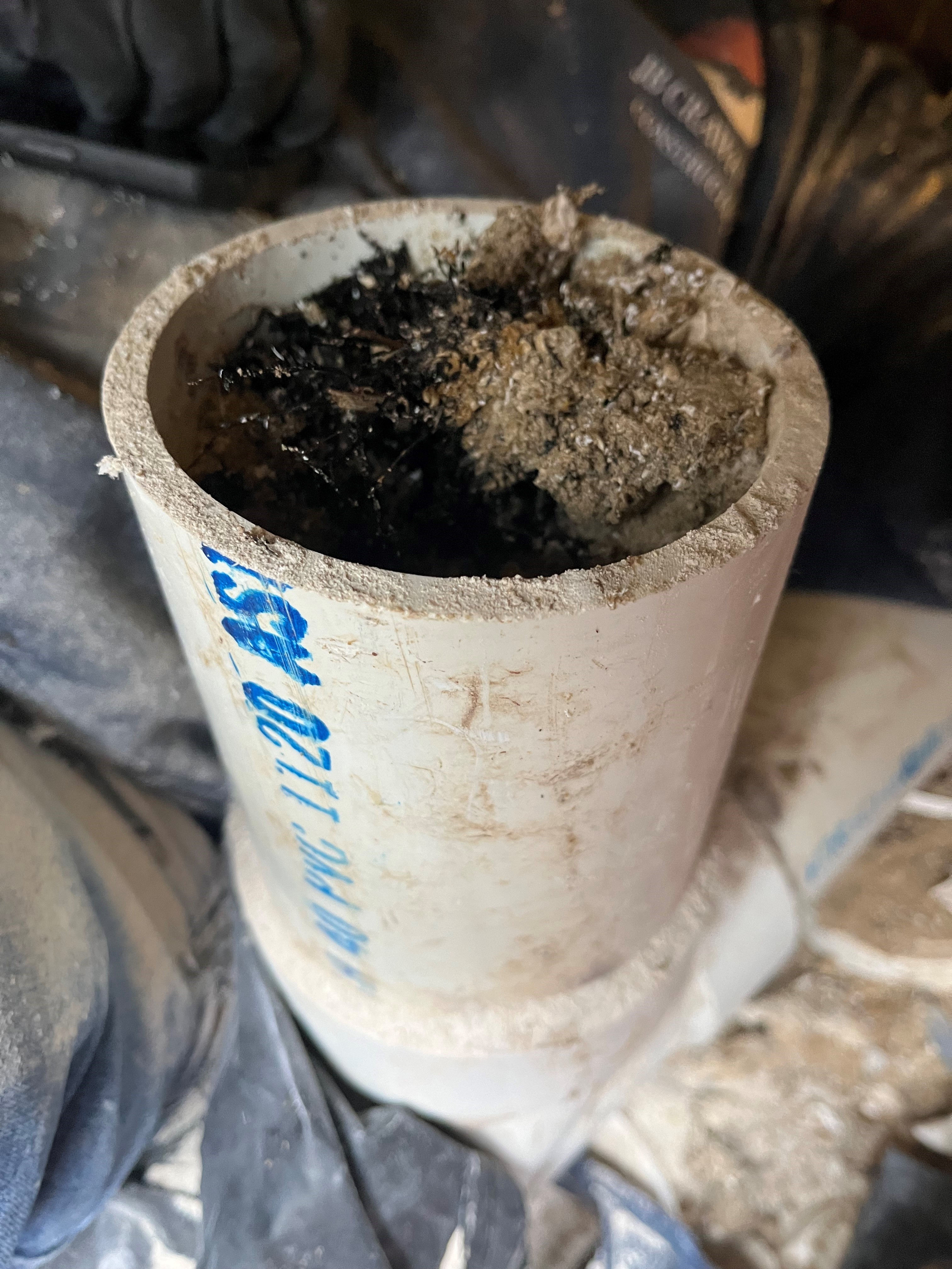 A grass root grows into a drain pipe which will be cleared by Crawford Plumbing, HVAC & Sheet Metal.